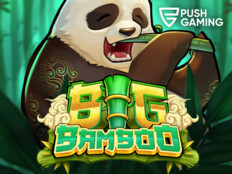 Big fish casino online16